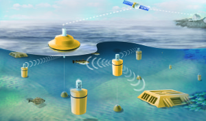 Underwater acoustic network